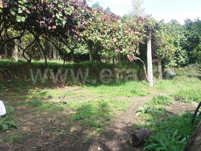 Quinta  Marco de Canaveses, Sande e São Lourenço - 1488955 - 2