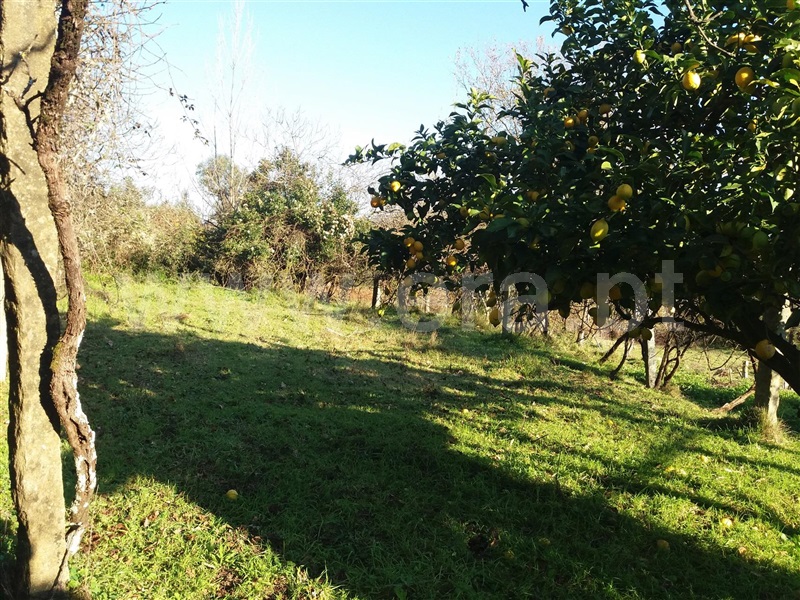 Quinta  Marco de Canaveses, Sande e São Lourenço - 1488955 - 6