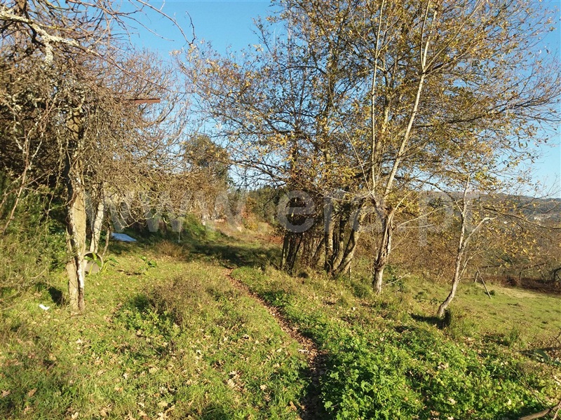 Quinta  Marco de Canaveses, Sande e São Lourenço - 1488955 - 13