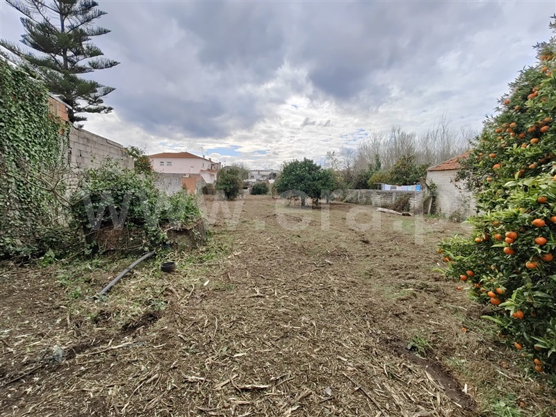 Moradia T1 à venda em Seixo, Mira — foto 3