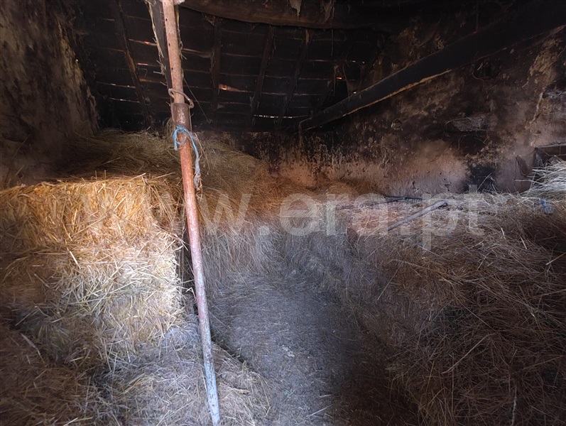 Moradia T1 Montalegre, Gralhas - 1501443 https://mediaredir.era.pt/ImageResizeHandler.ashx?tipo=1&checkMax=1&imovel=1501443&foto=18342913&m=2- 1