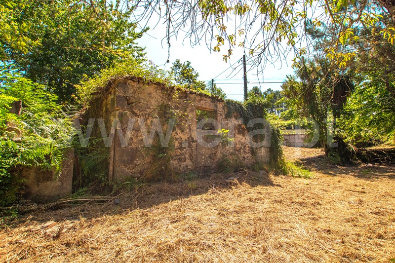 Terreno com ruina T1 com Urbano Paredes de Coura, Cossourado e Linhares - 1329274 - 1