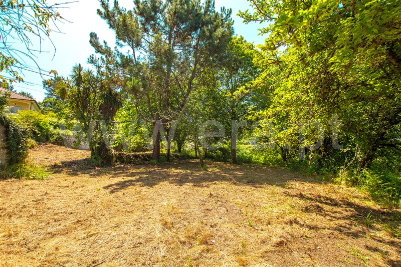 Terreno com ruina T1 com Urbano Paredes de Coura, Cossourado e Linhares - 1329274 - 5