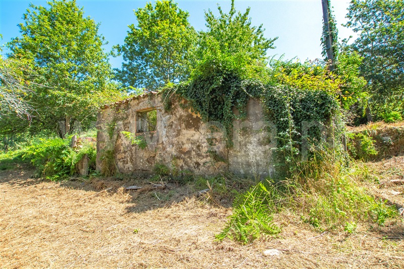 Terreno com ruina T1 com Urbano Paredes de Coura, Cossourado e Linhares - 1329274 - 6