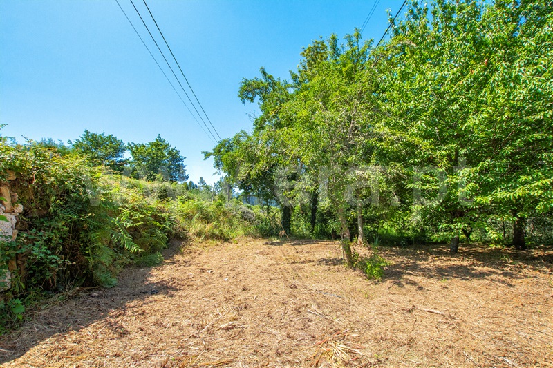 Terreno com ruina T1 com Urbano Paredes de Coura, Cossourado e Linhares - 1329274 - 9