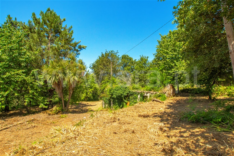 Terreno com ruina T1 com Urbano Paredes de Coura, Cossourado e Linhares - 1329274 - 10