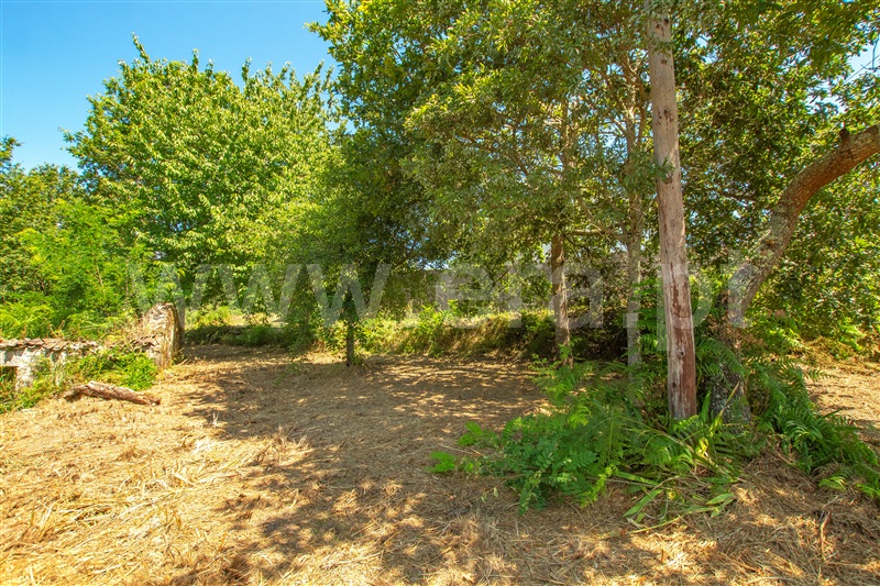 Terreno com ruina T1 com Urbano Paredes de Coura, Cossourado e Linhares - 1329274 - 11