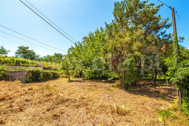 Terreno com ruina T1 com Urbano Paredes de Coura, Cossourado e Linhares - 1329274 - 12