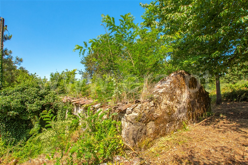 Terreno com ruina T1 com Urbano Paredes de Coura, Cossourado e Linhares - 1329274 - 13