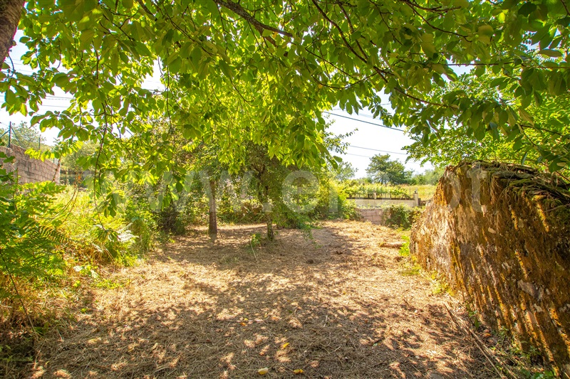 Terreno com ruina T1 com Urbano Paredes de Coura, Cossourado e Linhares - 1329274 - 14