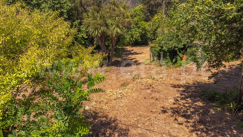 Terreno com ruina T1 com Urbano Paredes de Coura, Cossourado e Linhares - 1329274 - 19