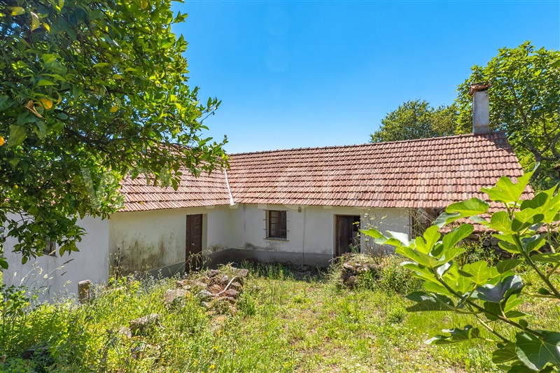 Moradia T1 Paredes de Coura, Mozelos - 1414135 - 54