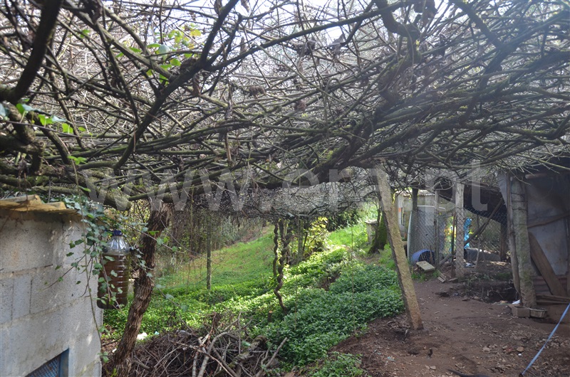 Moradia T1 à venda em Capela, Penafiel — foto 6