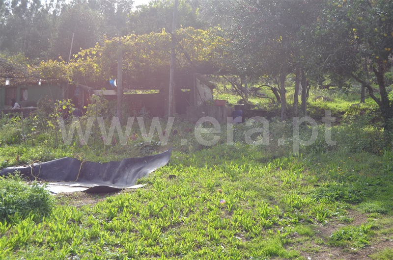 Moradia T1 à venda em Capela, Penafiel — foto 8