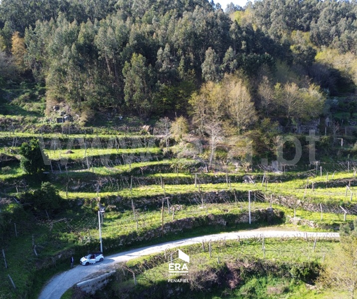 Moradia T1 à venda em Rio de Moinhos, Penafiel — foto 9