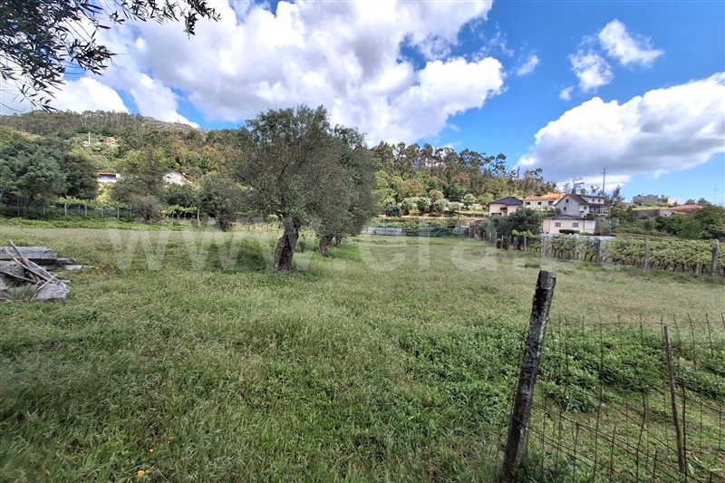 Terreno com ruina  Ponte de Lima, Anais - 1481917 - 3