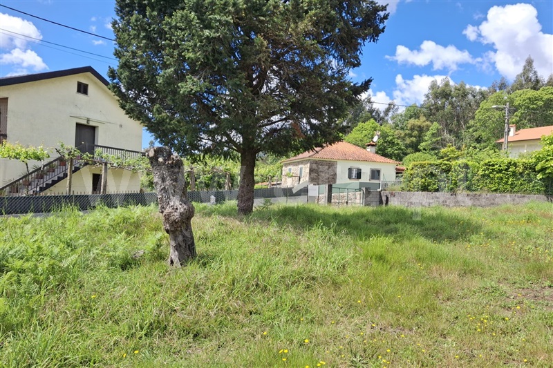 Terreno com ruina  Ponte de Lima, Anais - 1481917 - 4
