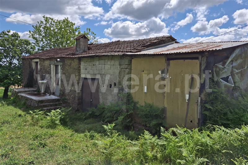 Terreno com ruina  Ponte de Lima, Anais - 1481917 - 5