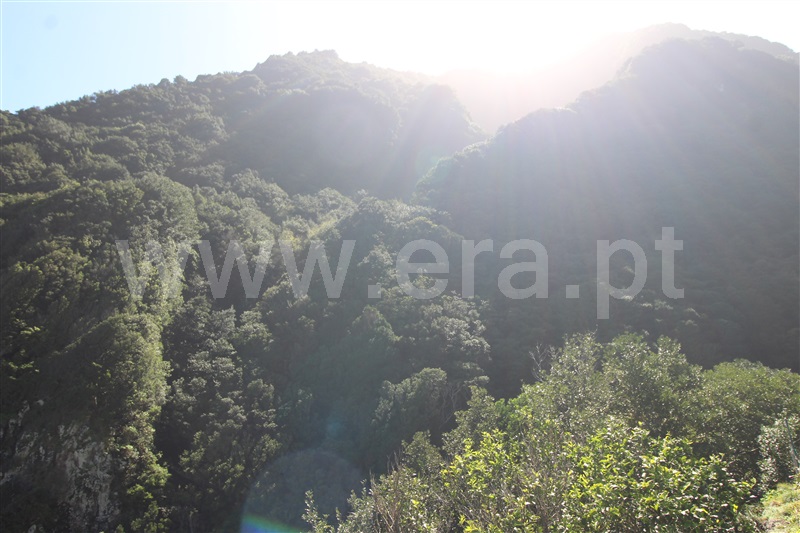 Moradia T1 Porto Moniz - 1470752 - 9