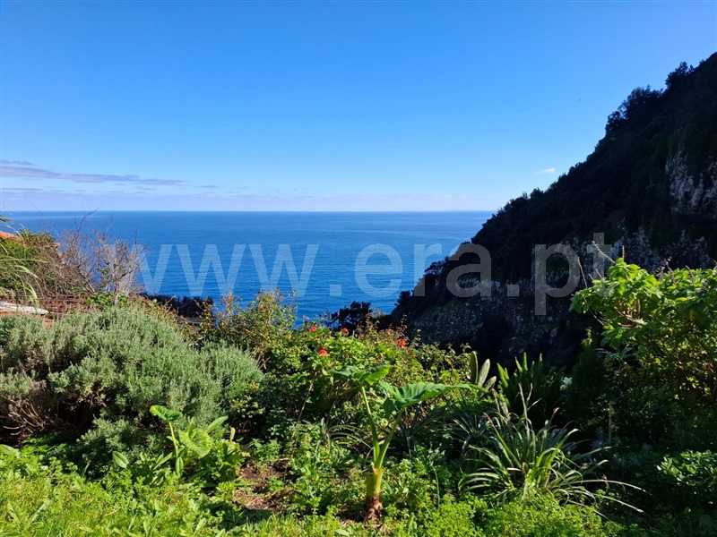 Moradia T1 Porto Moniz - 1470752 - 16