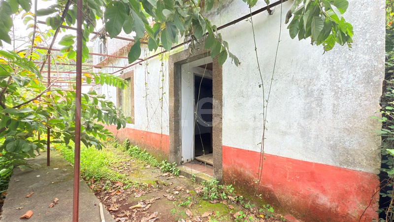 Moradia T1 Ribeira Brava, Campanário - 1477845 - 4