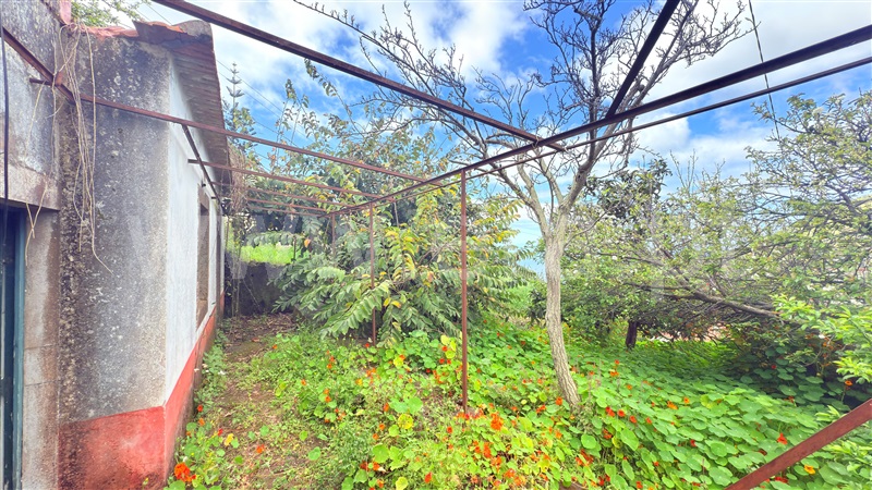 Moradia T1 Ribeira Brava, Campanário - 1477845 - 7