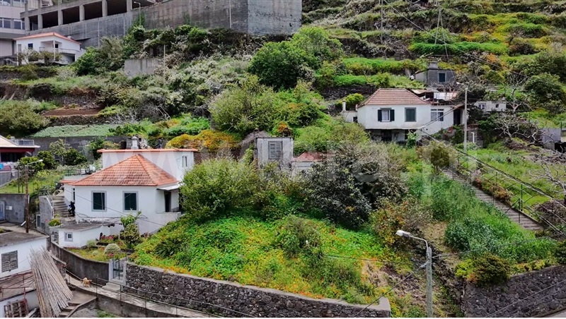 Moradia T1 Ribeira Brava, Campanário - 1477845 - 9