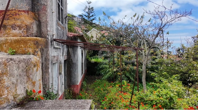 Moradia T1 / Ribeira Brava, Campanário