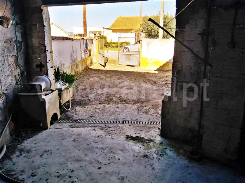 Moradia T1 à venda em Aldeia da Ribeira, Santarém — foto 4