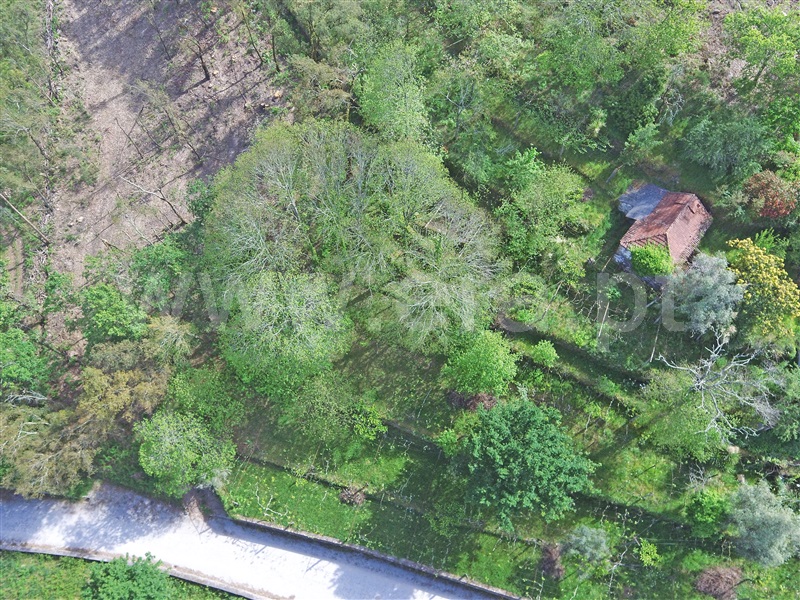 Moradia T1 Santo Tirso, Lamelas e Guimarei - 1246515 - 3