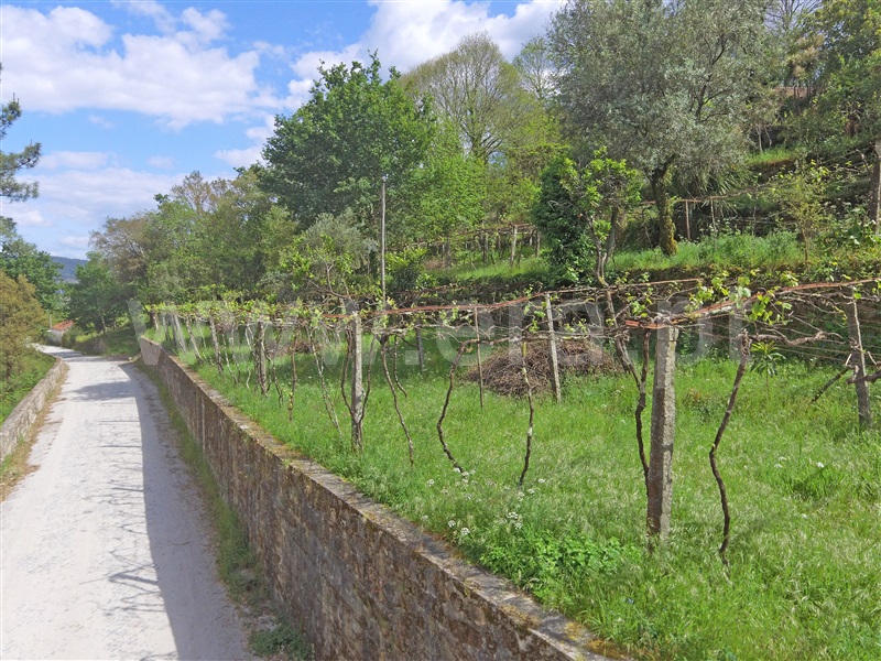 Moradia T1 Santo Tirso, Lamelas e Guimarei - 1246515 - 8