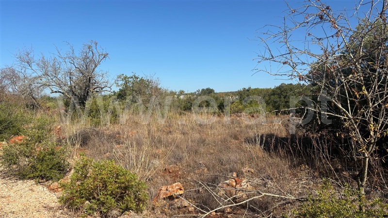 Moradia T1 à venda em São Bartolomeu de Messines, Silves — foto 14