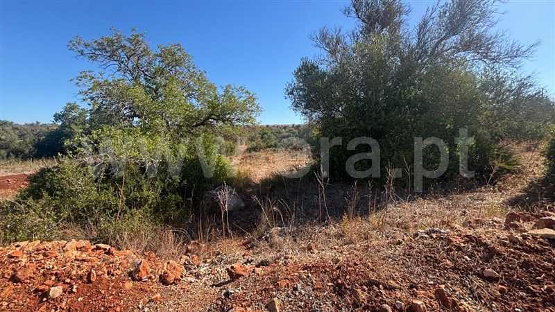 Moradia T1 à venda em São Bartolomeu de Messines, Silves — foto 17