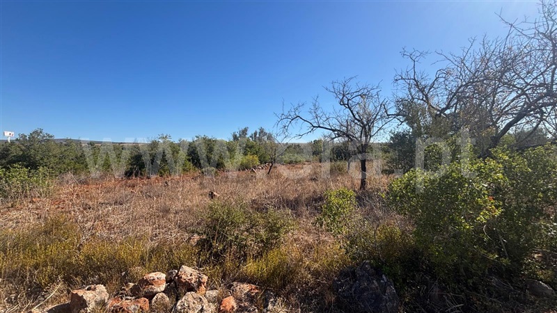 Moradia T1 à venda em São Bartolomeu de Messines, Silves — foto 9