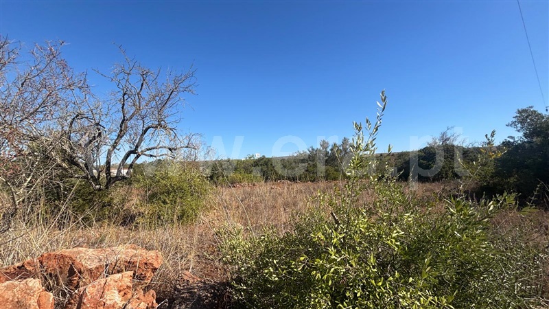 Moradia T1 à venda em São Bartolomeu de Messines, Silves — foto 10