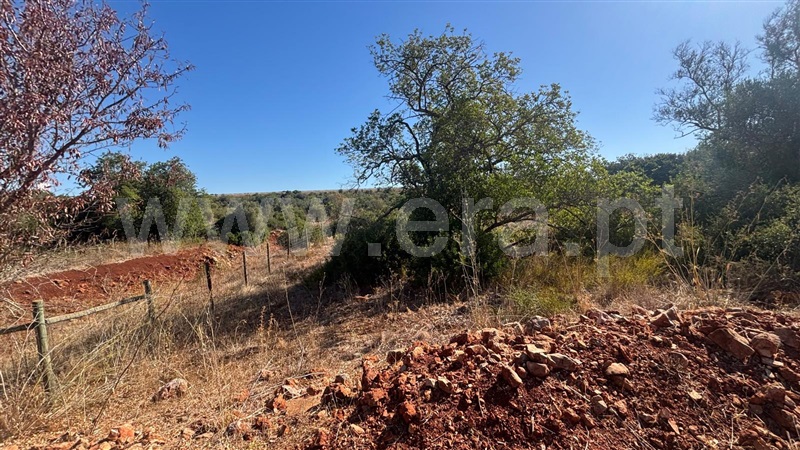 Moradia T1 à venda em São Bartolomeu de Messines, Silves — foto 11