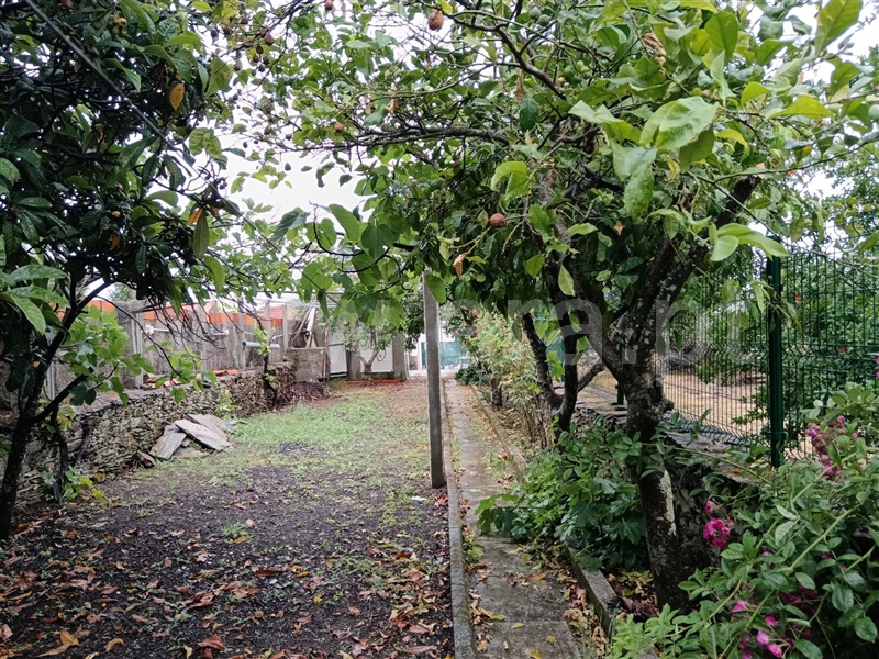 Moradia T1 à venda em Sarnadas de Ródão, Vila Velha de Ródão — foto 13