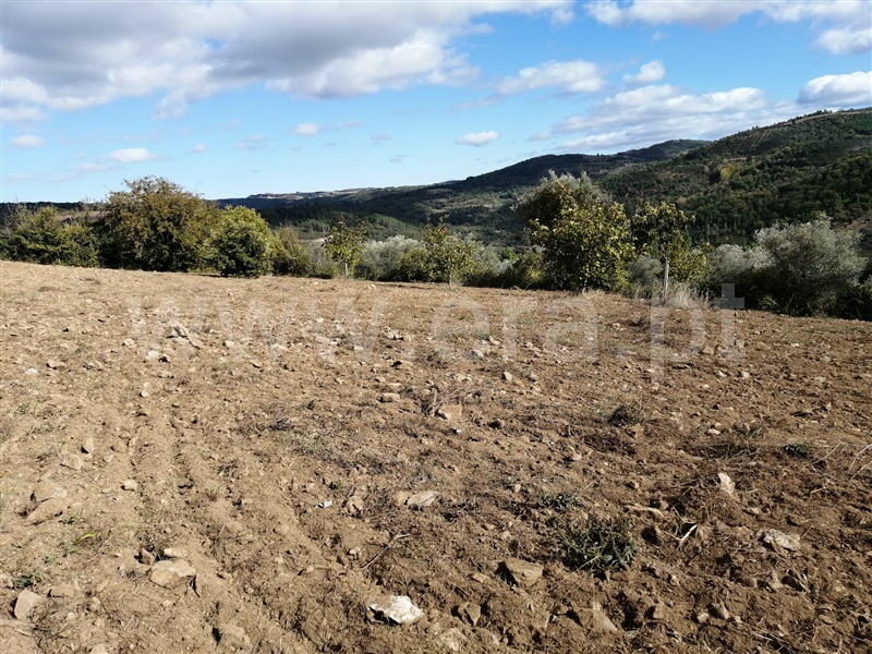 Moradia T1 Vinhais, Tuizelo - 1410005 - 2