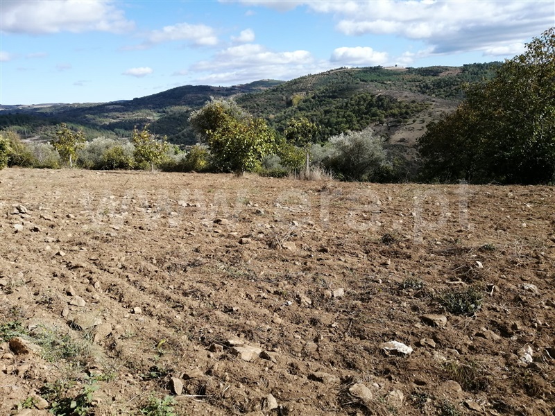 Moradia T1 Vinhais, Tuizelo - 1410005 - 3