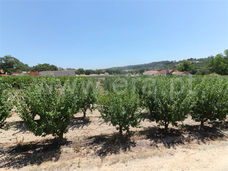 Moradia T10 Almeirim, Raposa - 1029825 - 5