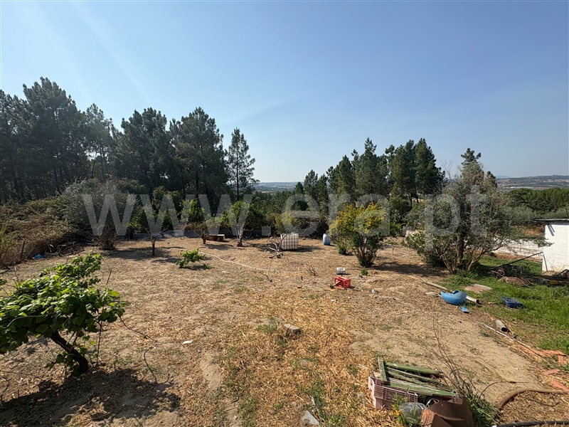 Moradia T2 Abrantes, Alvega e Concavada - 1496836 - 10