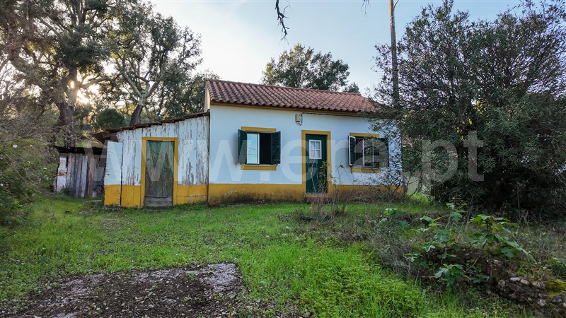 Moradia T2 / Abrantes, Bemposta