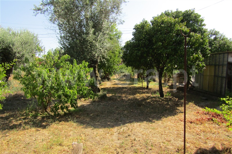 Moradia T2 Abrantes, Concavada - 1344365 - 7