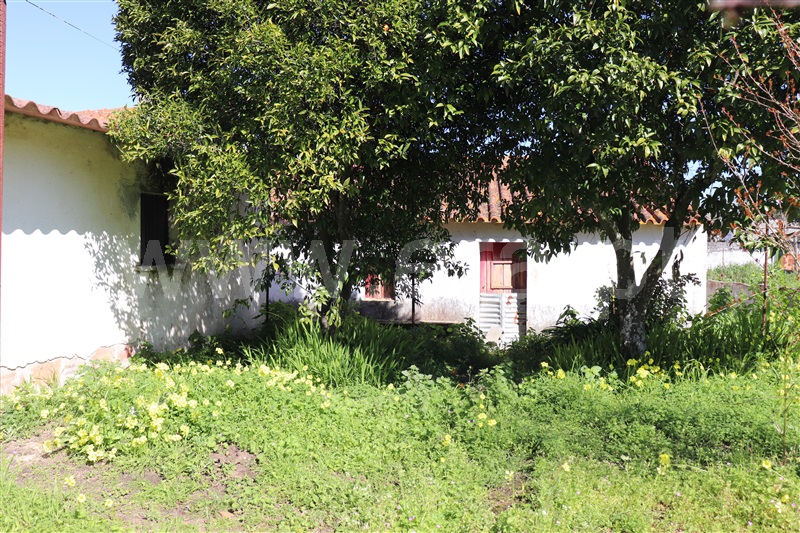 Moradia T2 Abrantes, Concavada - 1344365 - 14