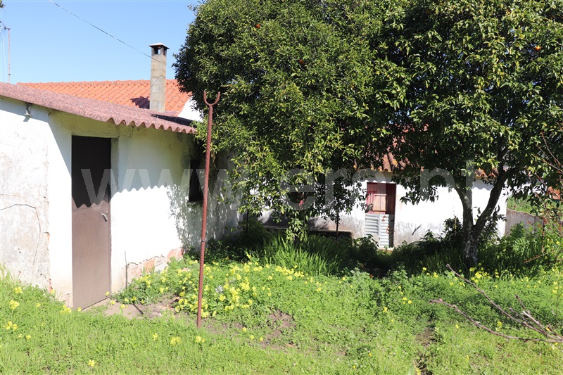 Moradia T2 Abrantes, Concavada - 1344365 - 15