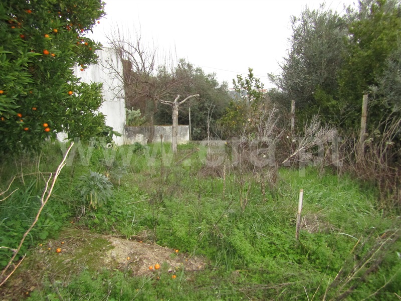 Moradia T2 Abrantes, Mouriscas - 1151765 - 11