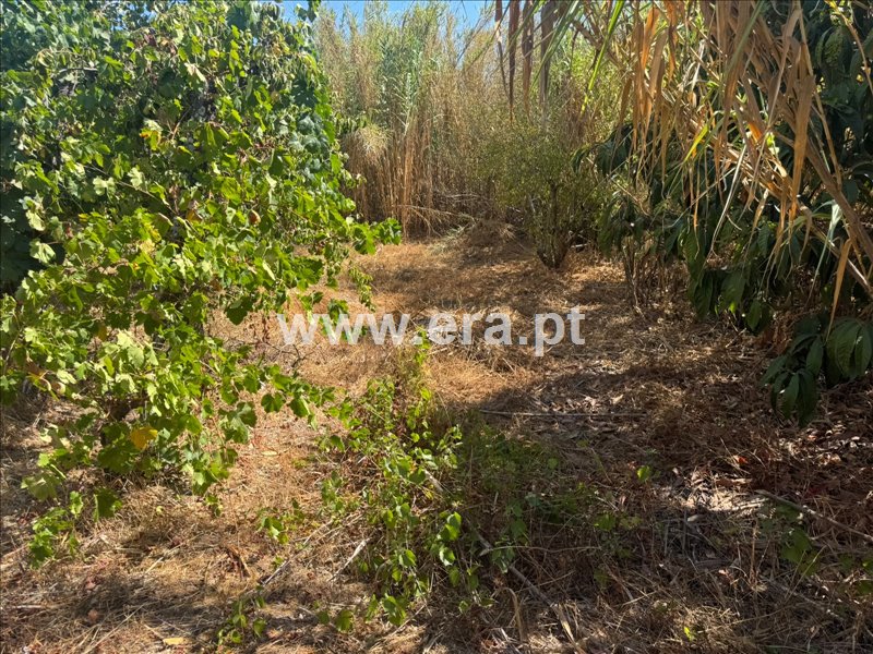 Moradia T2 à venda em Pego, Abrantes — foto 10