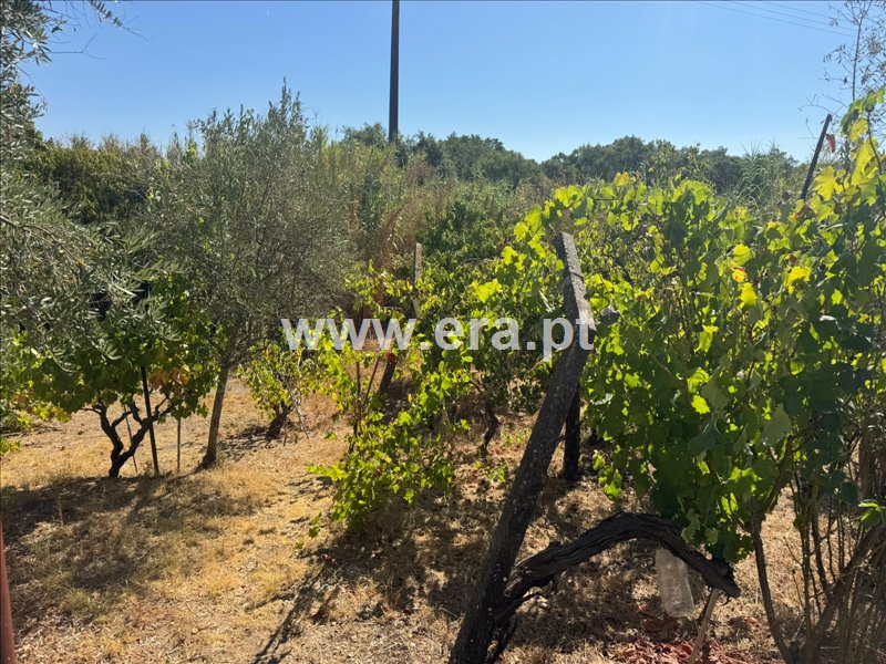 Moradia T2 à venda em Pego, Abrantes — foto 11