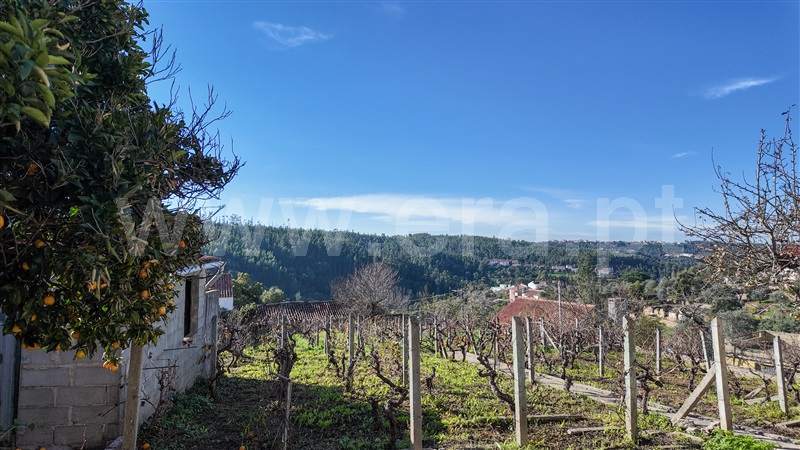 Moradia T2 Abrantes, Ribeira da Brunheta - 1342836 - 8