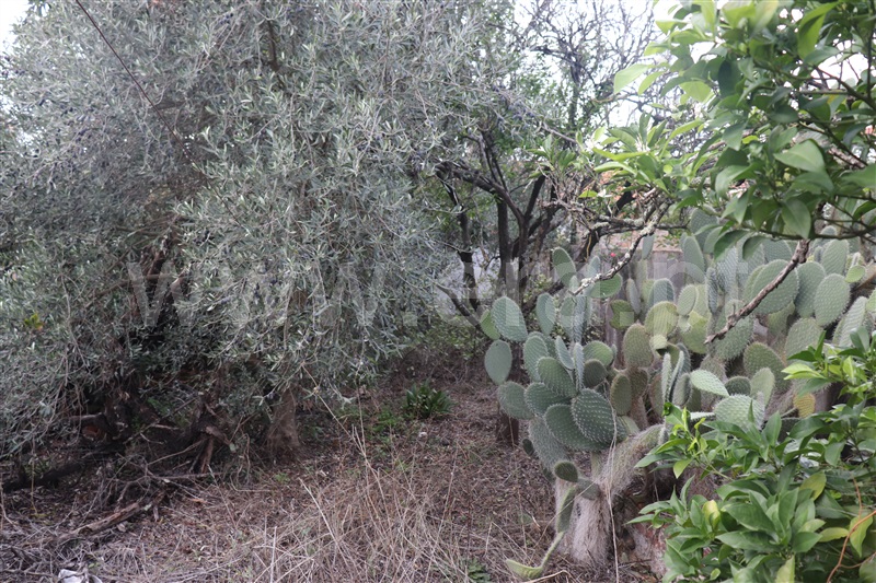 Moradia T2 Abrantes, Tramagal - 1363429 - 3